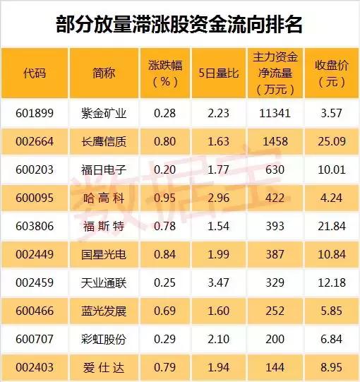 福斯特今日资讯速递