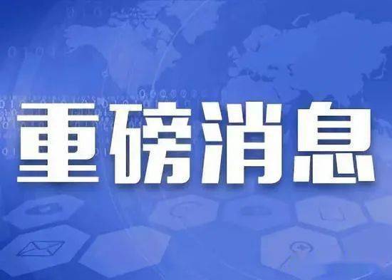 2025年度重磅来袭：前沿动漫理论电影盘点