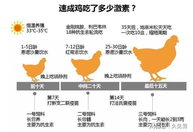 探究牛价超越鸡的新颖解答解析